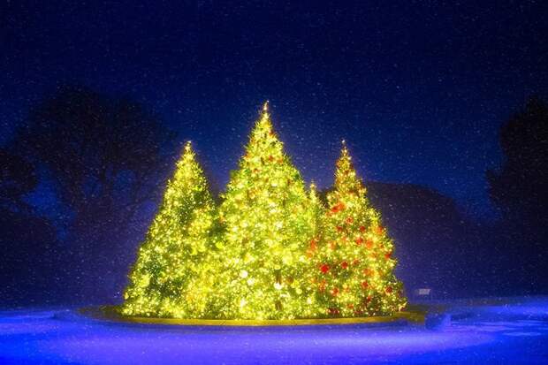 В Нью-Йоркском ботаническом саду - просто рождественская сказка Нью -Йорк, красиво, красивый вид, новогоднее настроение, новый год, рождество, сша, фото