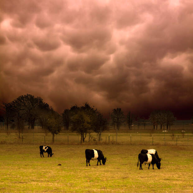 Необычные облака: Mammatus