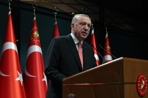 Эрдоган подтвердил желание Турции организовать встречу Путина и Зеленского