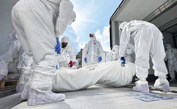 Обмен погибшими: Россия, начиная с 2025 года, вернула Украине 12 000 павших солдат ВСУ. Киев нам - 200