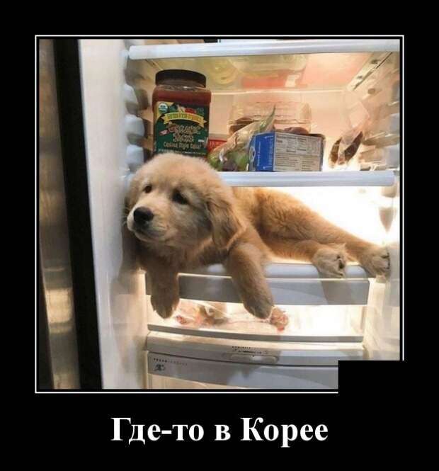 Демотиваторы (30 фото)