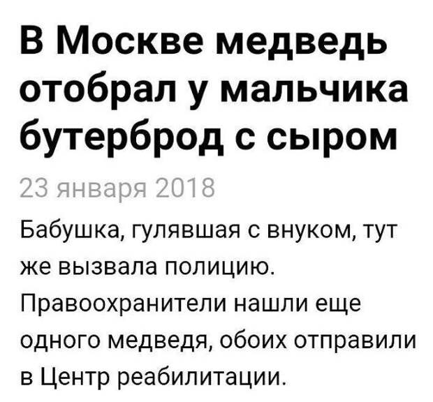 Подборка картинок. Дневной выпуск (50 фото)