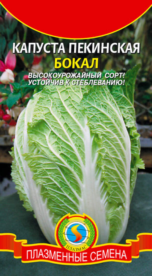 Упаковка с семенами пекинской капусты сорта "Бокал"