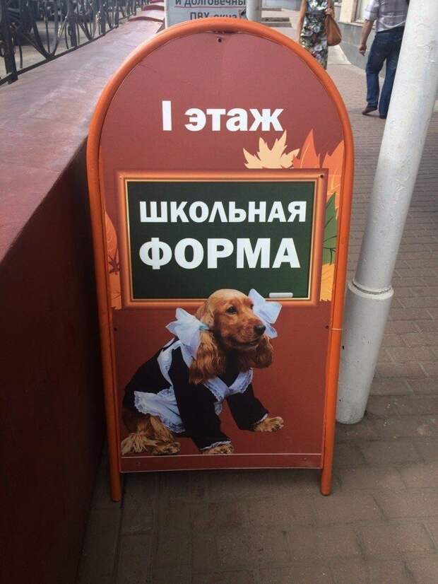 До чего детей довели загадка, коты, прикол, тайна, холодильник, что происходит, юмор