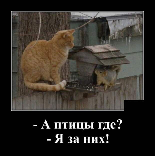 demotivatory-demotivator-smeshnye-demotivatory-demotivator-so-smyslom