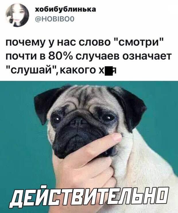 Смешные картинки вечер 29 апреля 2021