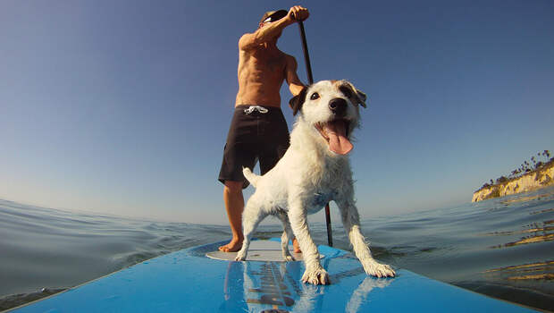 Фото: bluelinepaddlesurf.blogspot.com