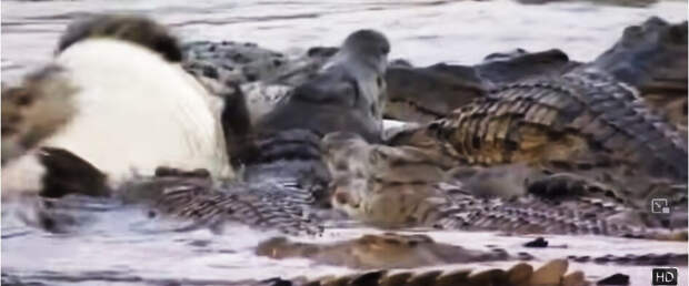 Просто анекдот 35