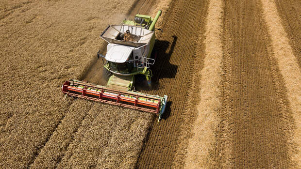 РЗС: в феврале число покупателей пшеницы из России упало с 26 до 19 стран