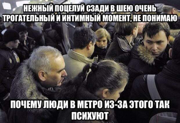 Смешные фразы в картинках