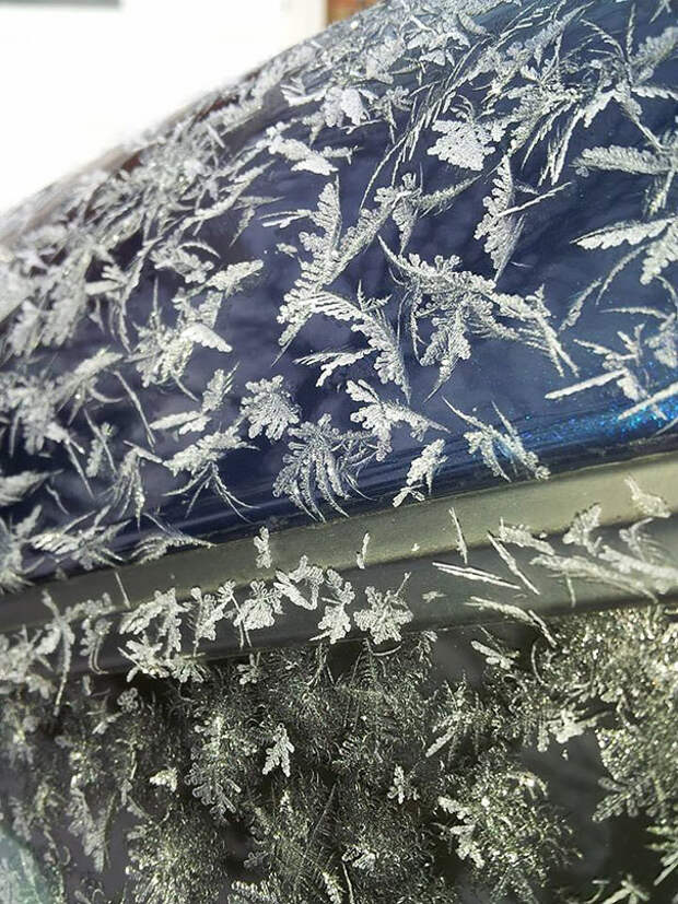 frozen-frosted-cars-171__605