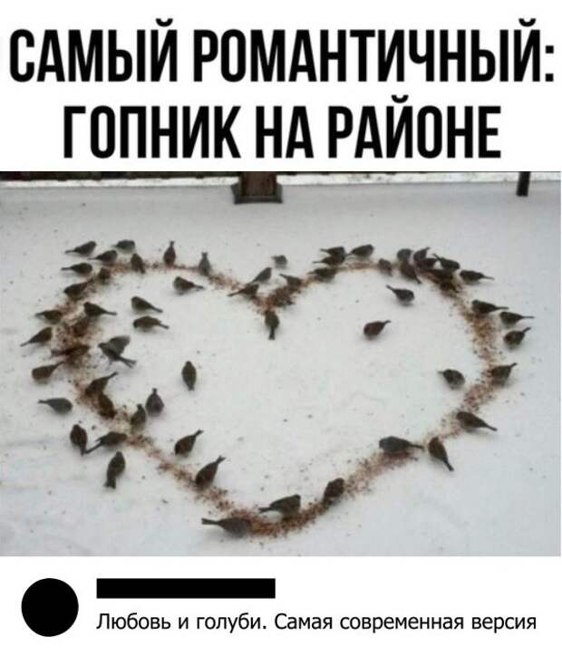 Еще больше шуток и перлов из социальных сетей Еще больше шуток и перлов из социальных сетей