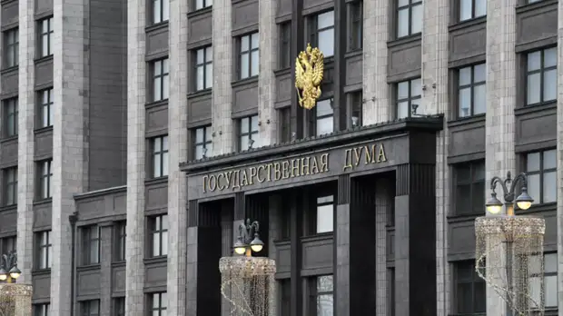 В Госдуме прокомментировали идею о «новогодней социальной корзине» для ряда семей