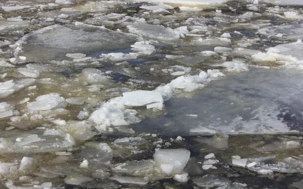 Рязанская область 6 марта простится с оттепелью