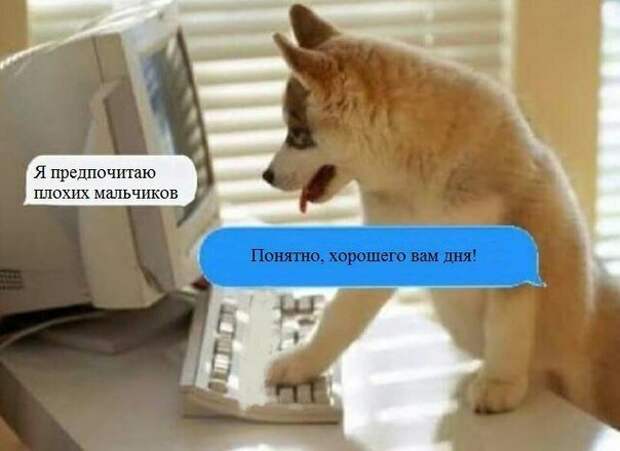 Картинки с надписями картинки, картинки с надписями, надписи, прикол, юмор