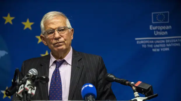 Сенатор Цеков назвал объективным высказывание Борреля о состоянии ЕС