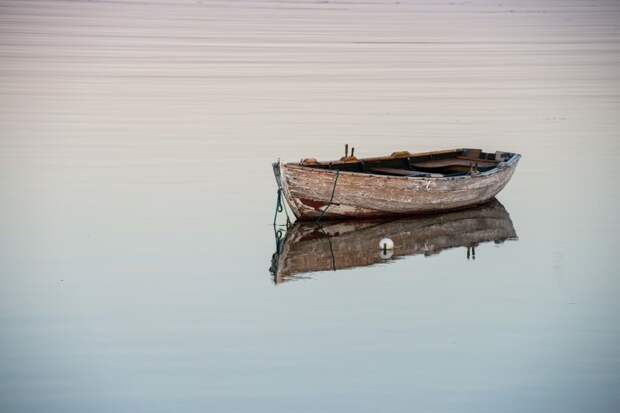 Фото: freepik.com