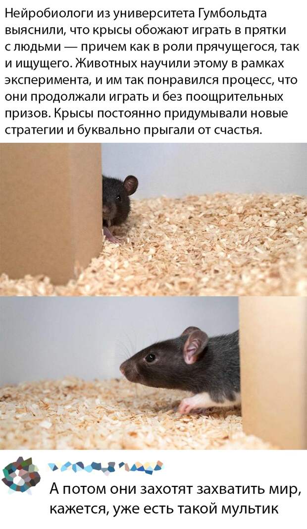www.vsyako.net