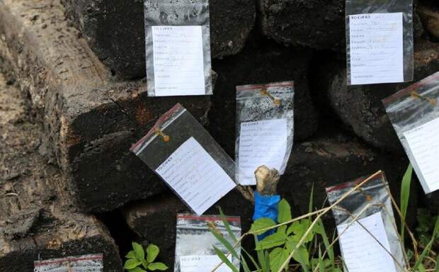 В год юбилея Торопца археологи проводят раскопки у Корсунско-Богородицкого собора