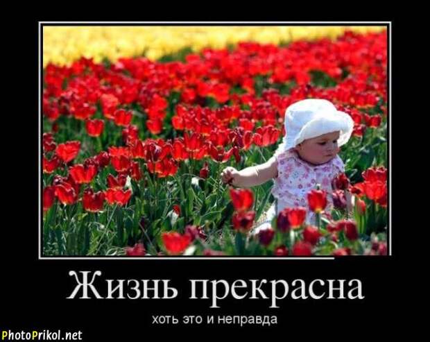 Демотиваторы со смыслом (46 демотиваторов) Демотиваторы со смыслом (46 демотиваторов)