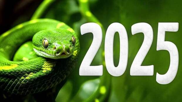 Итоги года: 2025 год в цитатах экспертов