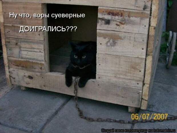 Подумала о своей жизни... сразу мухи налетели.