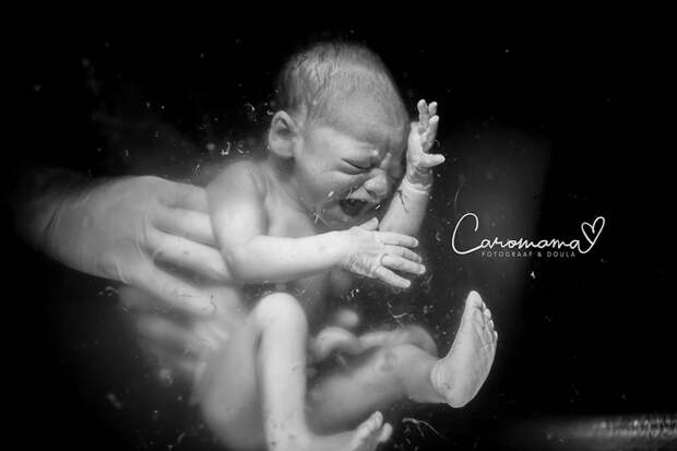 Победители фотоконкурса Birth Photo Competition 2018 16