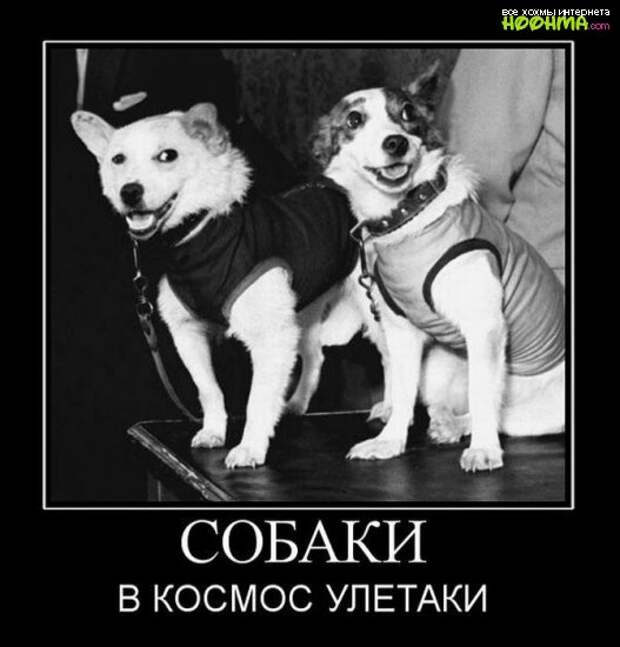 Демотиваторы. Выпуск 108