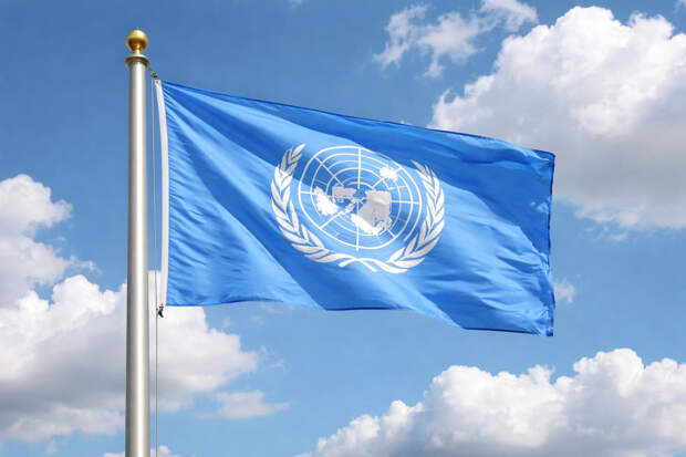 70 тысяч тонн еды застряли из-за войны — риск голода для миллионов растет