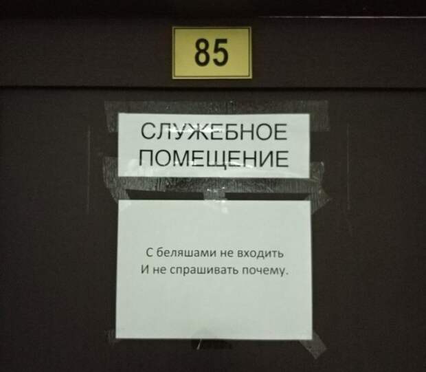 Забавные и странные объявления с наших улиц (22 фото)