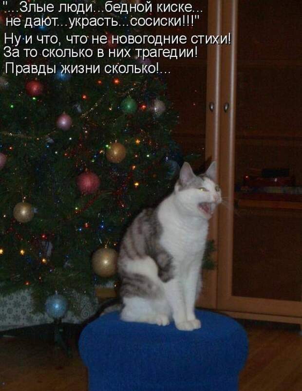 1325250302-1325212568_1325016206_734238 (540x700, 251Kb)