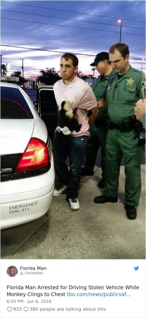 Florida-Man-Headings