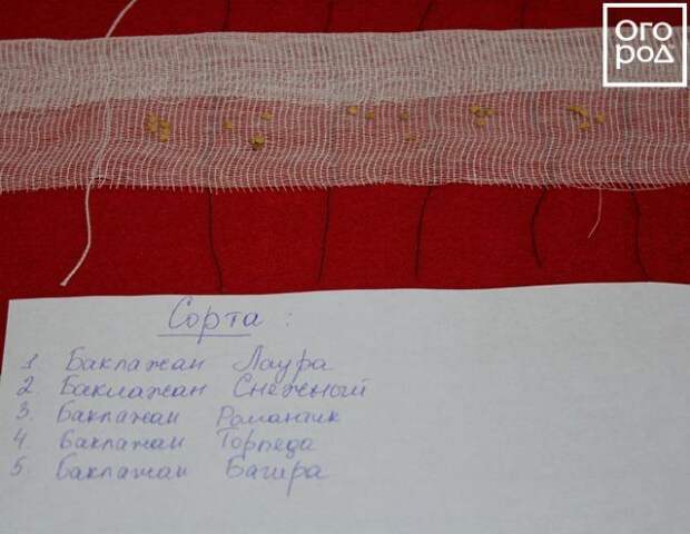 Подготовка семян разных сортов к посеву