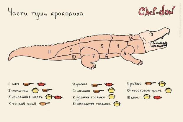 Шпаргалки, которые пригодятся любителям покулинарить Шпаргалки, которые пригодятся любителям покулинарить