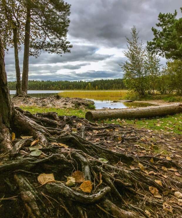 Красоты России (#1231)