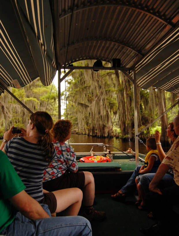 Фантастические кипарисы озера Каддо (Caddo lake), США