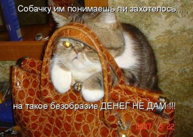 Забавности с надписями