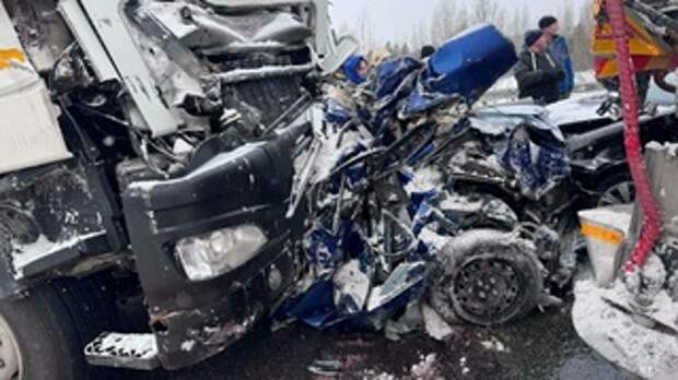 Три жителя Алтая погибли в ДТП в Тюменской области / Фото:  Госавтоинспекция