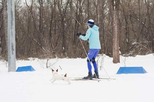 Тамбовчане рассказали, чем они занимались в новогодние праздники