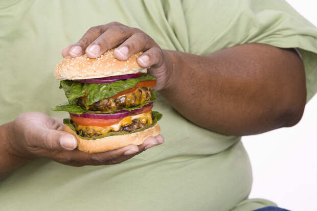 Британские ученые выявили генетическую причину предрасположенности к ожирению