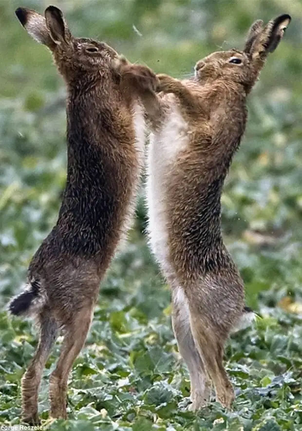 � �������� �� ����� ���