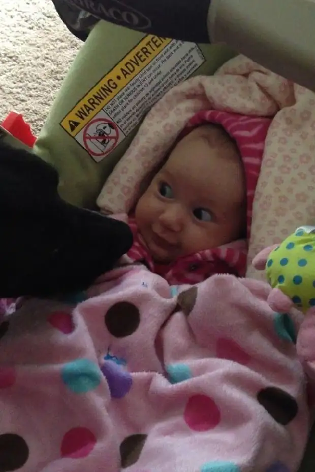 Как малыши реагируют на собак