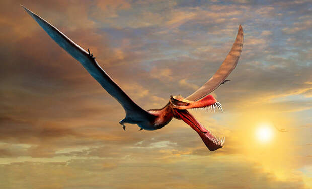 В Аргентине нашли гигантского «дракона смерти», который по всем параметрам не мог существовать в природе