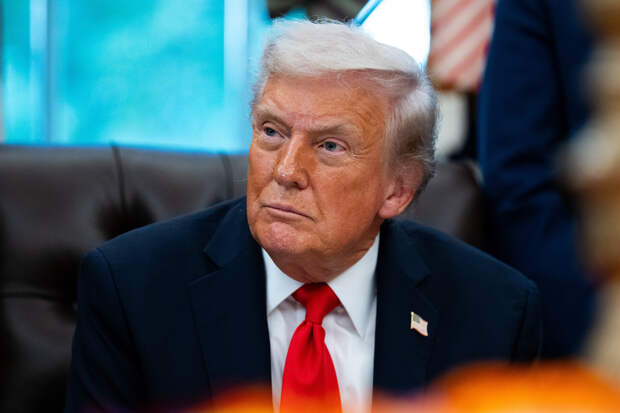 Вероятность встречи Путина и Трампа оценили