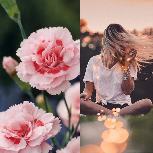 Светлана цветок имени