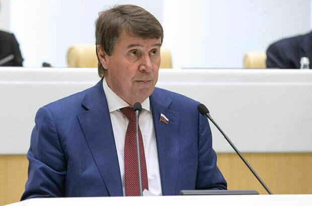 Сенатор Цеков заявил, что планы НАТО по Белоруссии обречены на провал