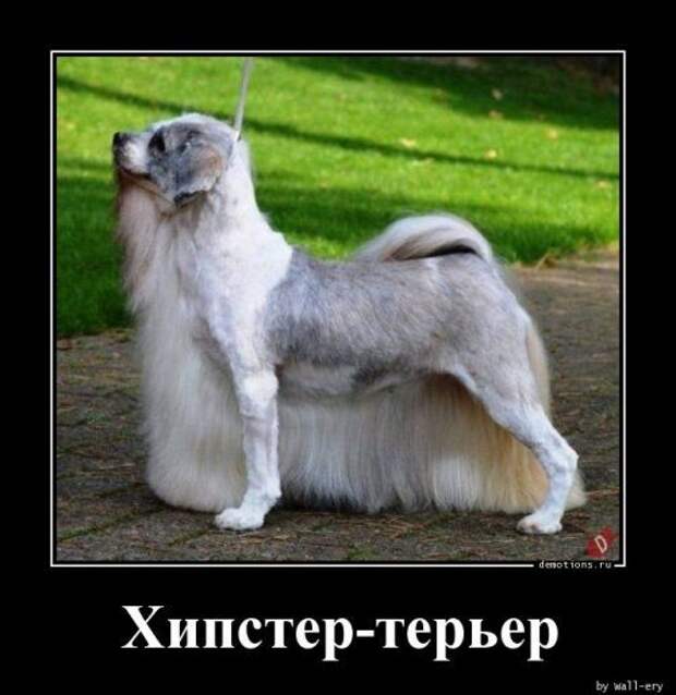 1575014866_demy-12.jpg