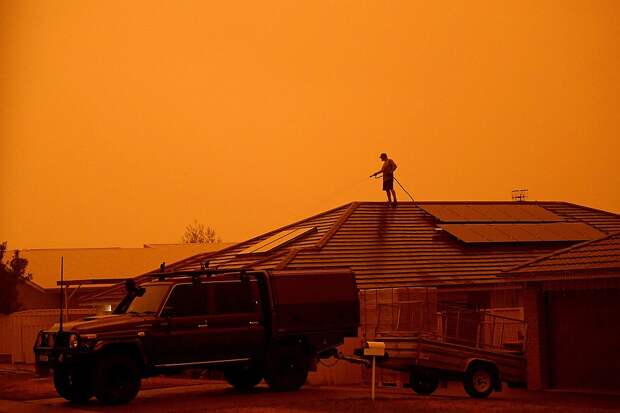 В самых сложных регионах небо окрасилось в зловещий желтый цвет, напомнив некоторым фильм "Бегущий по лезвию-2049", только в кино так выглядел город после атомного взрыва Фото: REUTERS