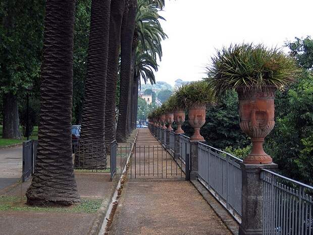 Насколько большой Ботанический сад Неаполя