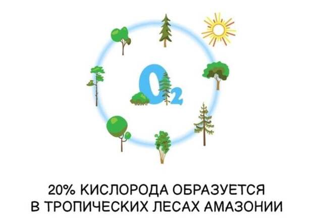 Интересные короткие факты на все случаи жизни
